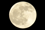 満月の無料写真