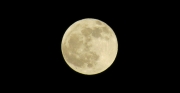 フレームに対して中ぐらいの大きさで撮影した満月の無料写真